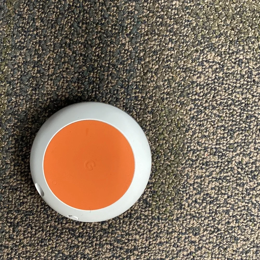 Google home